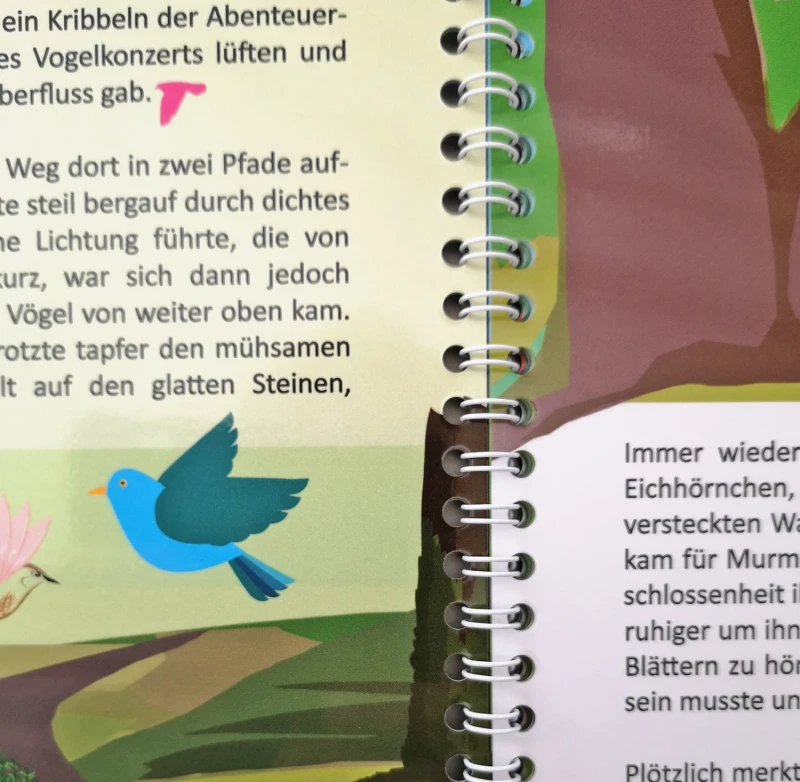 Buch Kinderbuch Igel Murmel