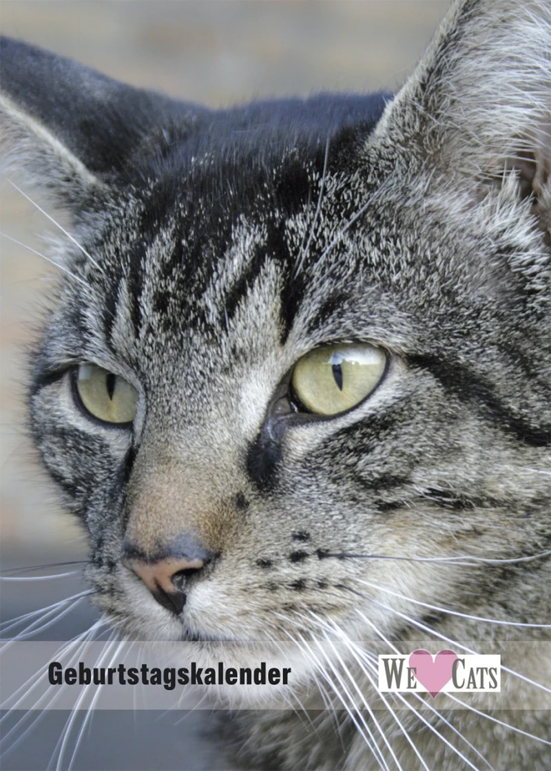 Katzen Geburtstagskalender A5