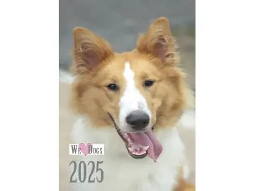 Hunde Kalender 2025 A4