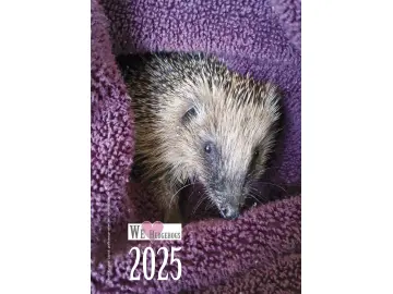 Igel Kalender 2025 A4