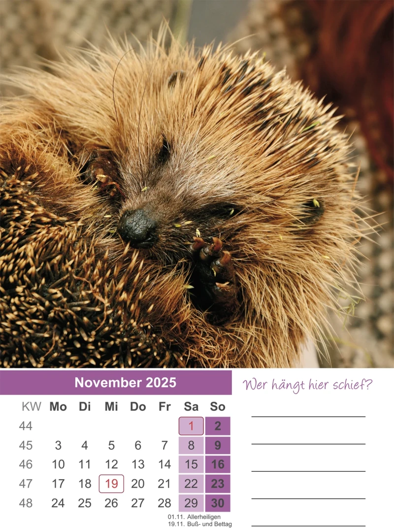 Igel Kalender 2025 A4