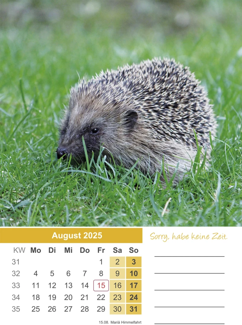 Igel Kalender 2025 A4